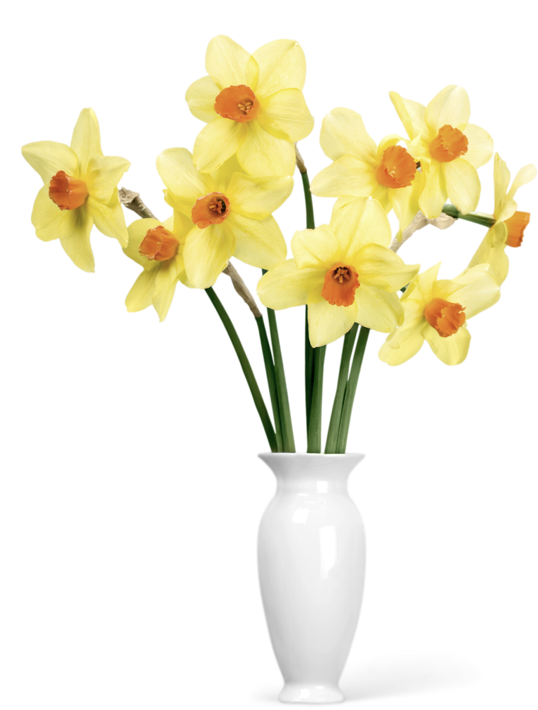 Flowers in a Vase