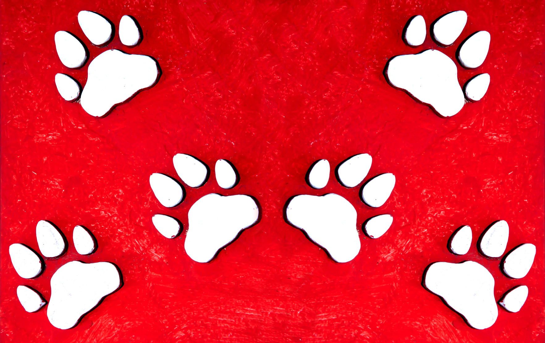 Paw prints on grunge background